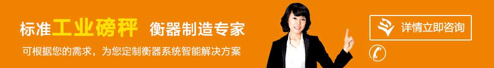 联系山东电子电子定量包装秤、无人值守称重系统厂家