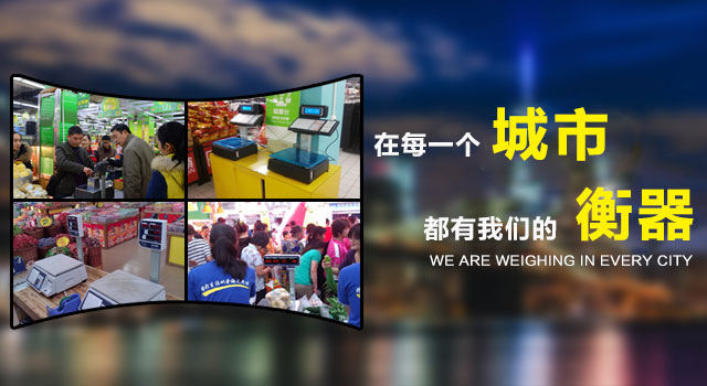可以对衡器进行偏载(四角)参数、量程参数、空秤参数进行自动和手动校准。