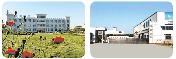 土建基础对地磅在检定周期内失准的影响分析鲁南衡器厂区实景