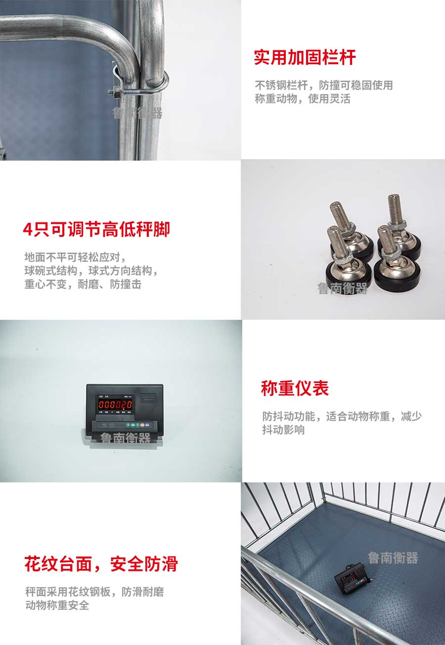 牲畜秤鲁南衡器牲畜秤厂家技术服务安装调试